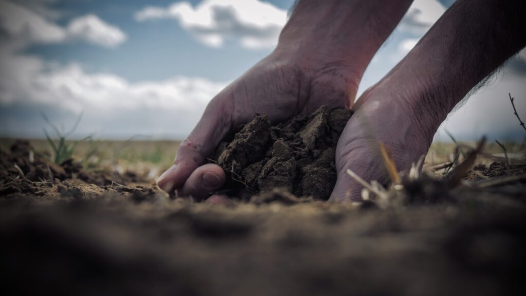 planting in a famine